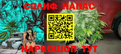 a pvp Можга