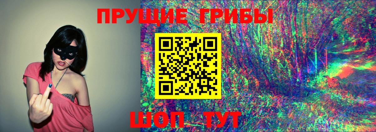 Псилоцибиновые грибы Psilocybe Старая Купавна